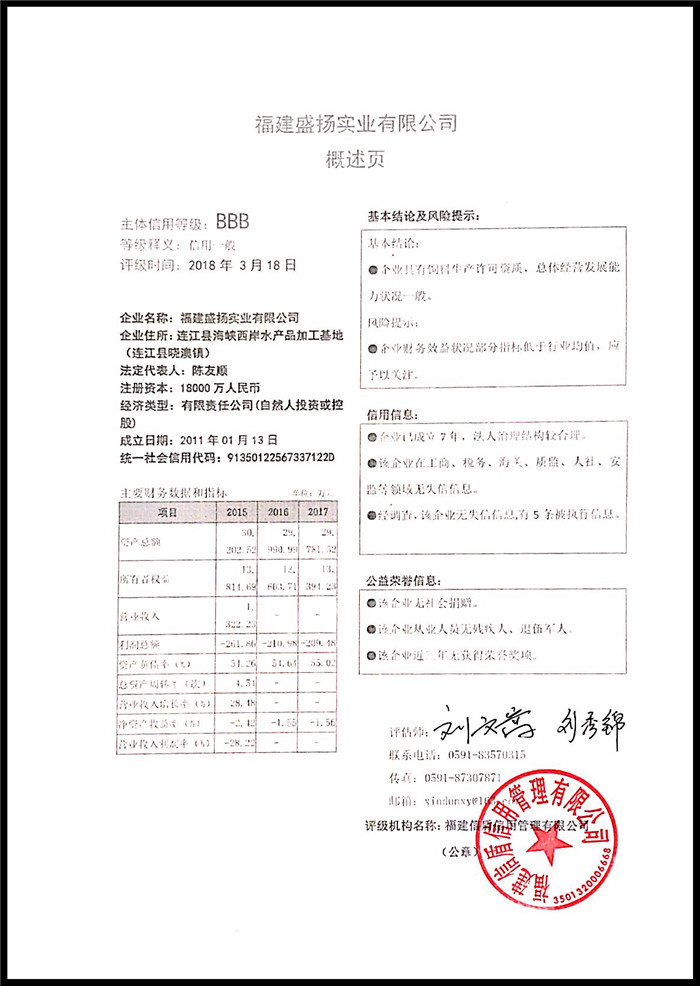福建盛扬实业有限公司 XDPJ201803131.jpg
